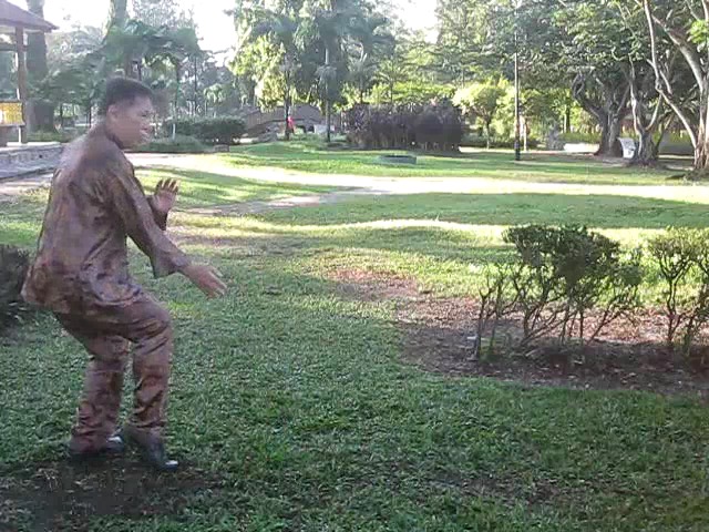 Sun Style Taijiquan